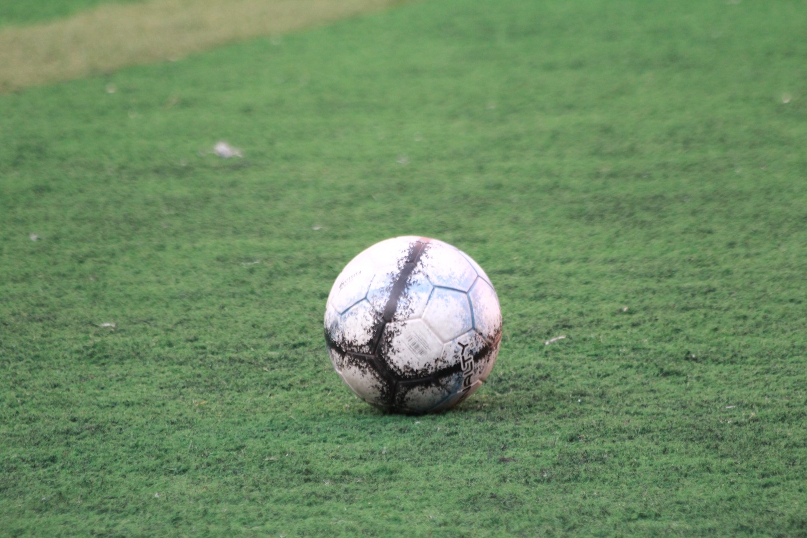 IMG_9957 (Large).JPG