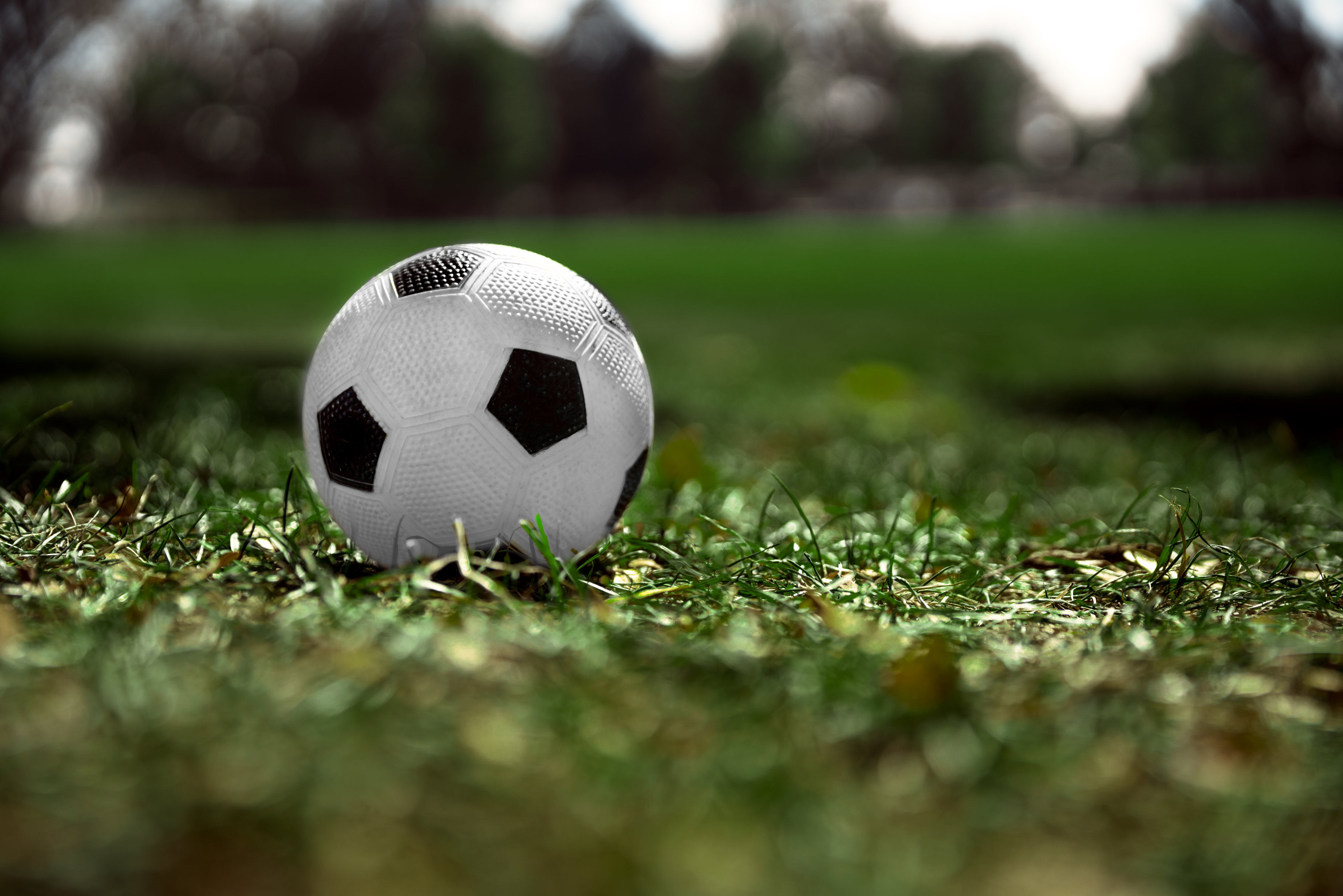 soccer-ball-in-grass.jpg