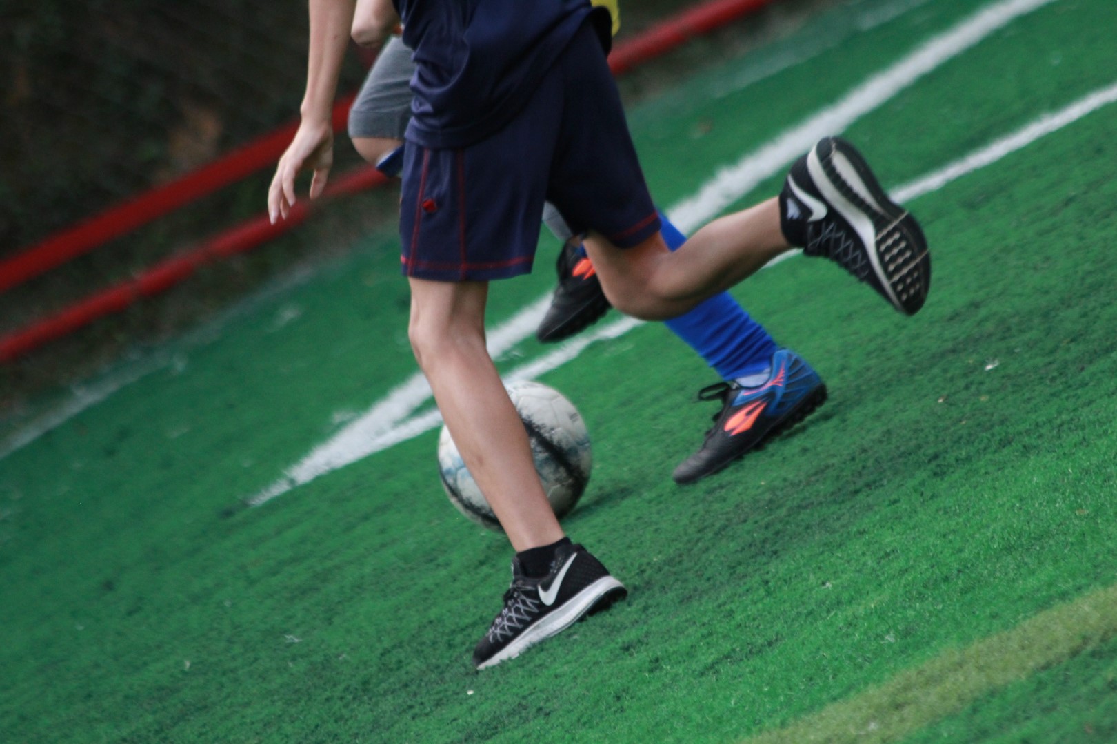 IMG_9919 (Large).JPG